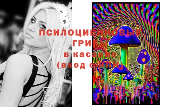 индика Абдулино