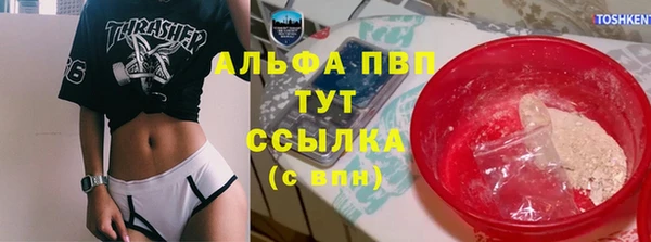 хмурый Абаза