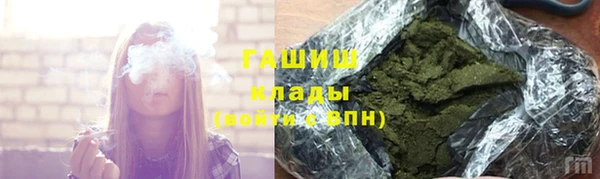 хмурый Абаза