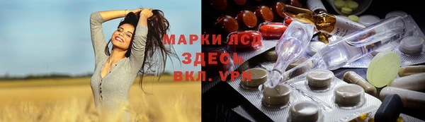 хмурый Абаза