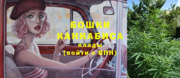 хмурый Абаза