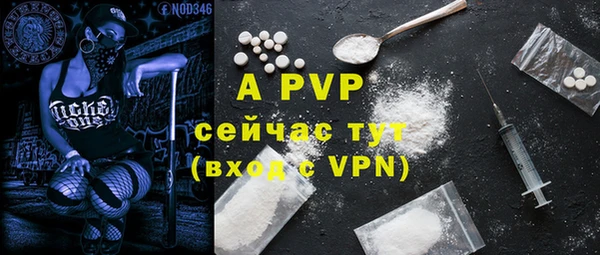хмурый Абаза