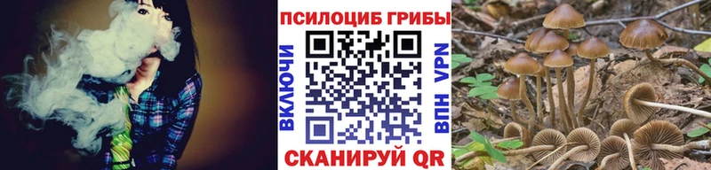Галлюциногенные грибы MAGIC MUSHROOMS даркнет сайт Братск