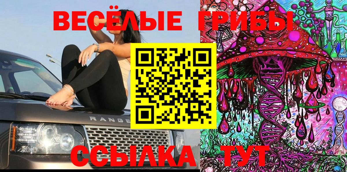Галлюциногенные грибы Psilocybine cubensis  Вход с VPN  Псилоцибиновые грибы Cubensis  Братск 