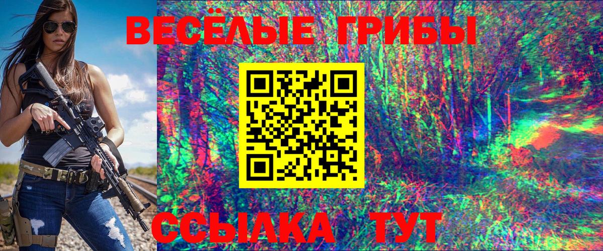 Галлюциногенные грибы GOLDEN TEACHER Братск