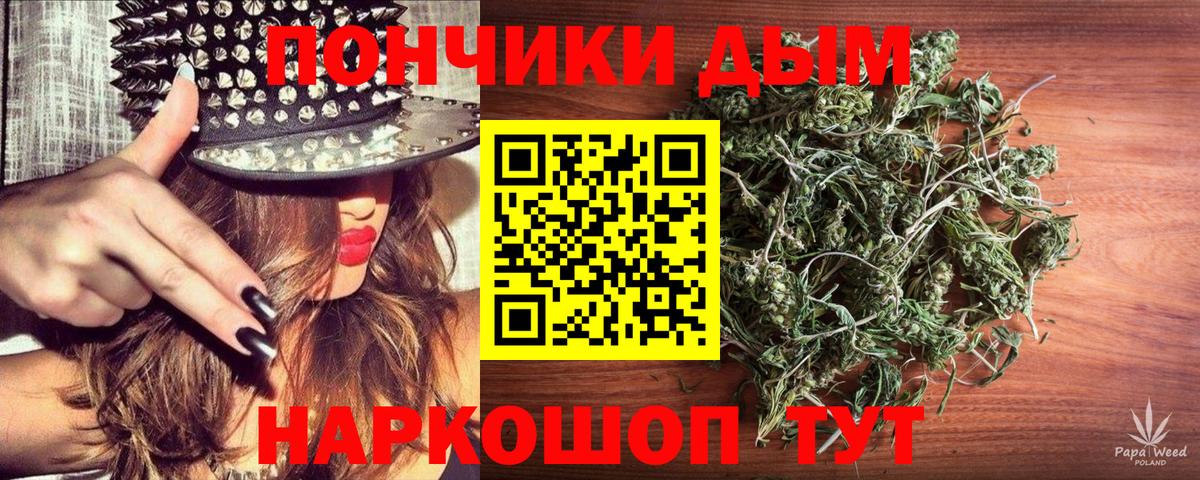 Бошки Шишки конопля  Бошки марихуана планчик  Вход с VPN  Братск 